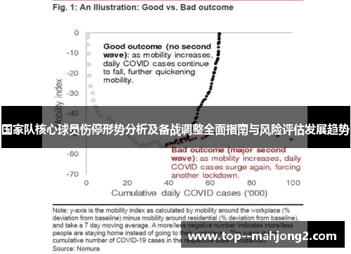 国家队核心球员伤停形势分析及备战调整全面指南与风险评估发展趋势